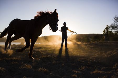 sebastian felipe rodriguez robles horse